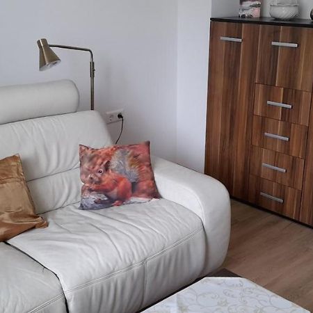 Ferienwohnung Christel Hirschhorn-Neckar Esterno foto