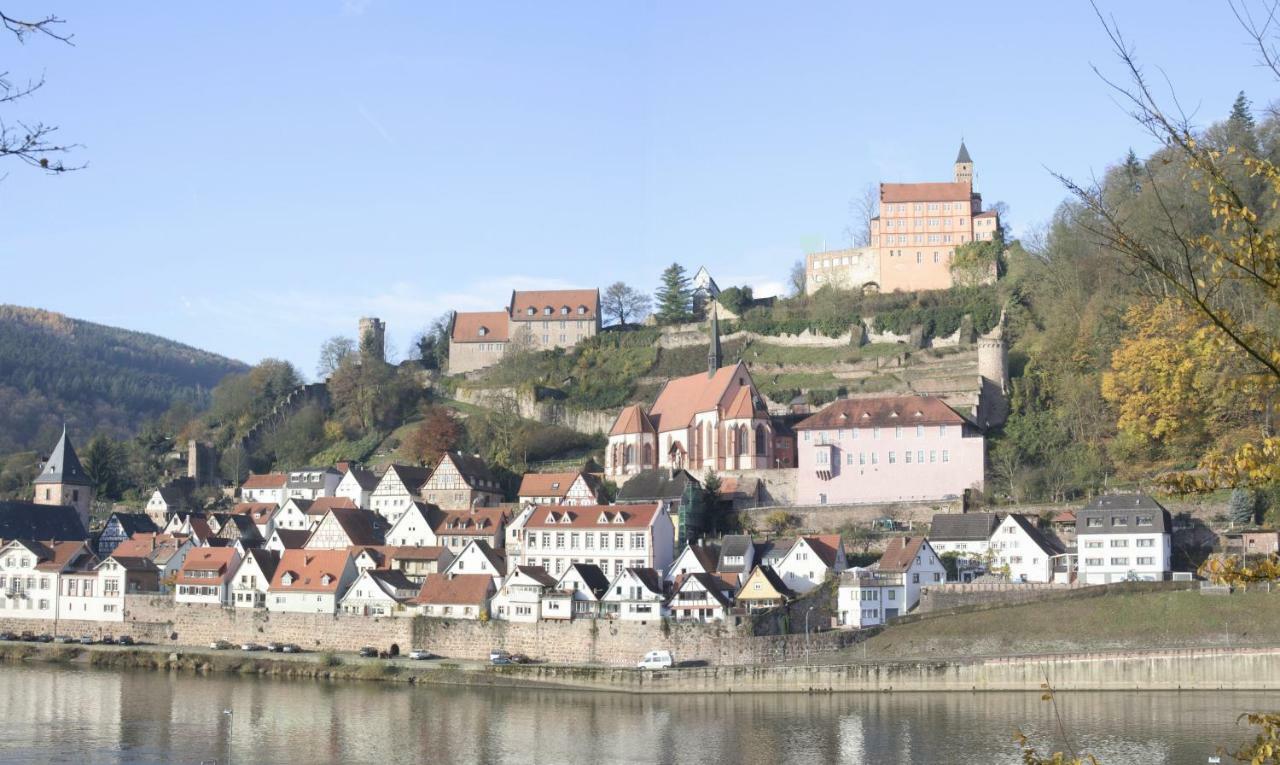 Ferienwohnung Christel Hirschhorn-Neckar Esterno foto